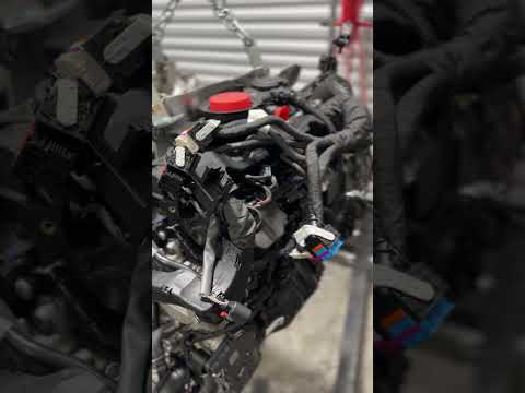 Audi & Porsche 4.0 TFSI Engines Compared: EA824 vs EA825 Differences Explained