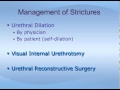 Urethral Stricture Disease