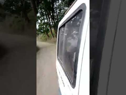 vereda san Lorenzo fomeque cundinamarca #musica #yosoydelos7mil