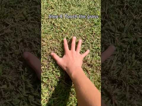 How to touch grass! (For Beginners) #tutorial#grass #viral #trend #shorts