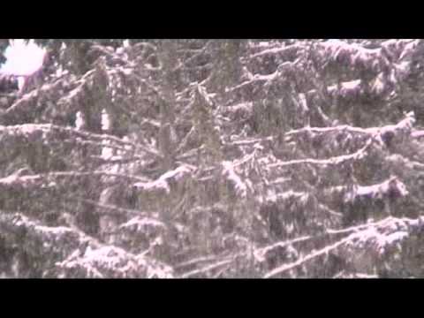 Lauantainaamun ihmettelyä 31.3.12