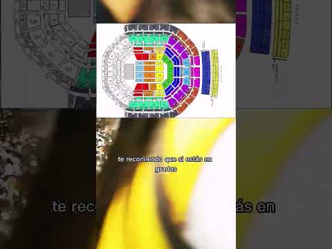 Arena Ciudad de México, gradas baja //  Nash :D #Shorts #concierto #arenacdmx