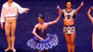 Curtain Call in Canada All Star Ballet Gala  2.11.17