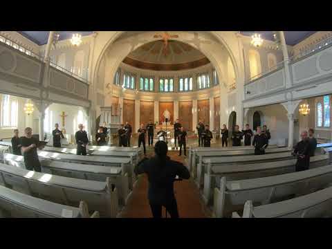 Göteborgs Manskör - Sommarpsalm