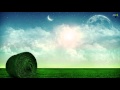 Ellie Goulding - Goodness Gracious (The ...
