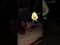 Jacinta was recording