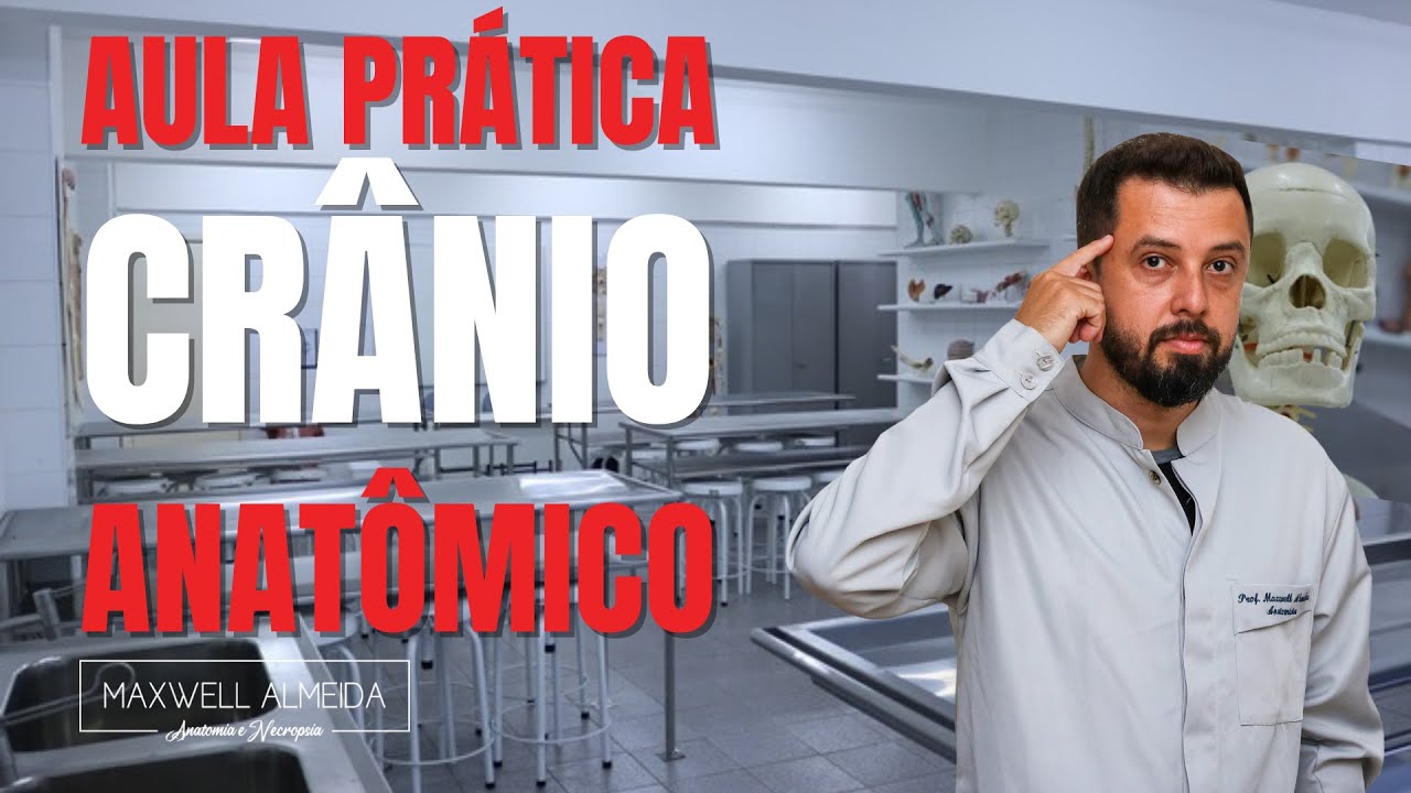 Generalidades do CRÂNIO | Aula prática no laboratório de ANATOMIA HUMANA