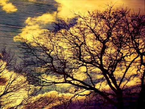 Pantha Du Prince - Bohemian Forest (Original Mix)
