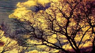 Pantha Du Prince - Bohemian Forest (Original Mix)