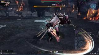 아인라허 블러드로드 금메달