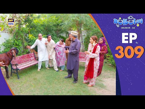 Bulbulay Season 2 Episode 309 | 14 June 2025 | Comedy | ARY Digital Drama