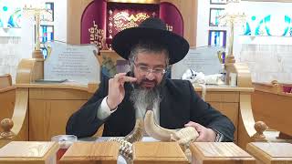 מרתק - שיעור בכשרות השופרות התימנים בימינו - י' אלול התשפ"ב מורשת אבות רעננה