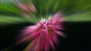 Sarah Brightman - La Califfa