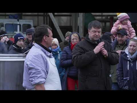 Schlachtefest in Dorf Mecklenburg - Fragwürdige Tradition?