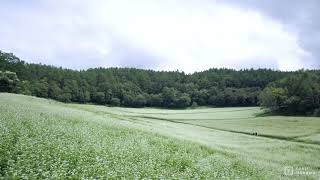 長野県大町市の中山高原をドローン撮影-Nagano,Japan
