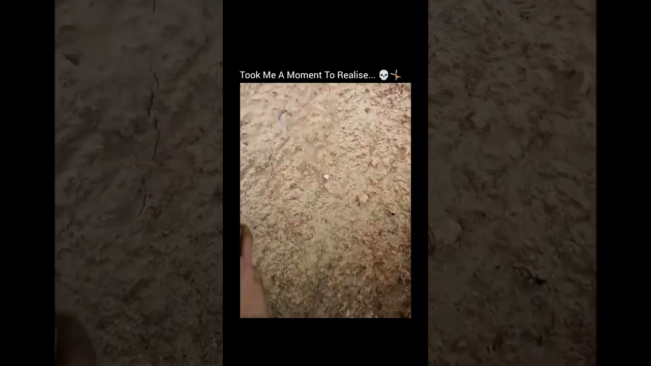 깨닫는 데 시간이 좀 걸렸어요 😂