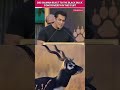 Salmankhan Inadvertently Mentions The Black Buck Controversy Watch Shorts Pinkvilla