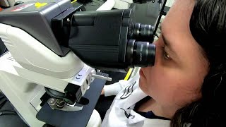 Pollen count in Houston: Meet the scientist tracking our allergy forecast