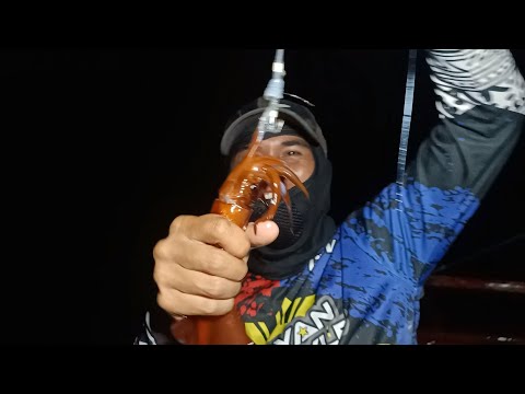 P1- Pamumusit Magdamag, Inabutan Ng Subasko sa Gitna Ng Laot. Occi Mindoro, EP-118