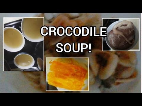 CROCODILE SOUP! HOW TO COOK ?Chinese Recipe