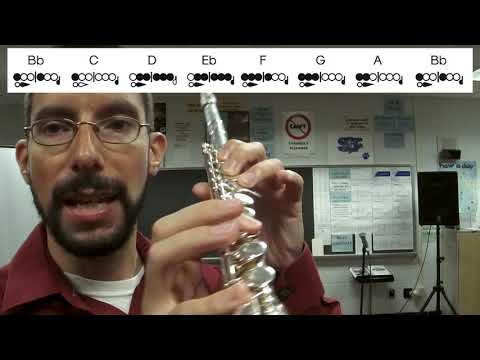 Concert B-Flat Major Scale - Flute Tutorial & Note Map