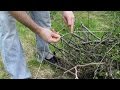 How to bundle branches with string