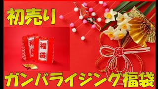 【総額○○○○円】初売りガンバライジング福袋の中身が凄すぎる。【開封】