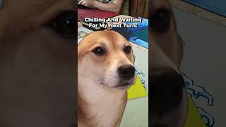 Relatable Commander Moments #64
