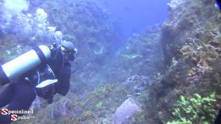 preview picture of video 'SailDives in Tobago -  Travel Movie 5/7'