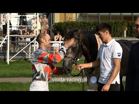 Gon. VII (Sheikh Zayed Bin Sultan Al Nahyan - N. Europy) - 20.08.2023 - Ocean Al Maury