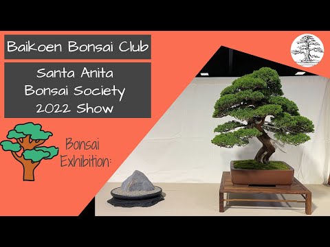 Santa Anita Bonsai Society 2022 Show - Baikoen Bonsai Club - Safer @ Home Bonsai Series