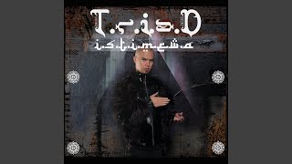 Download lagu Istimewa mp3