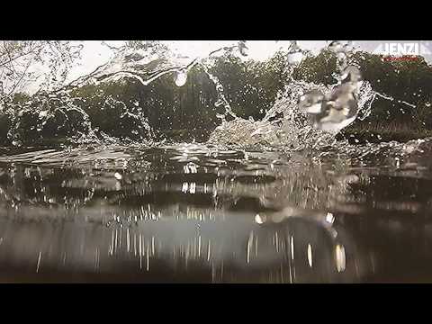 JENZI 2014 - Hechtangeln mit JENZI-Produkten