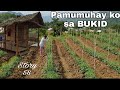 A Simple Lifestyle Here in the Philippines | Buhay Bukid