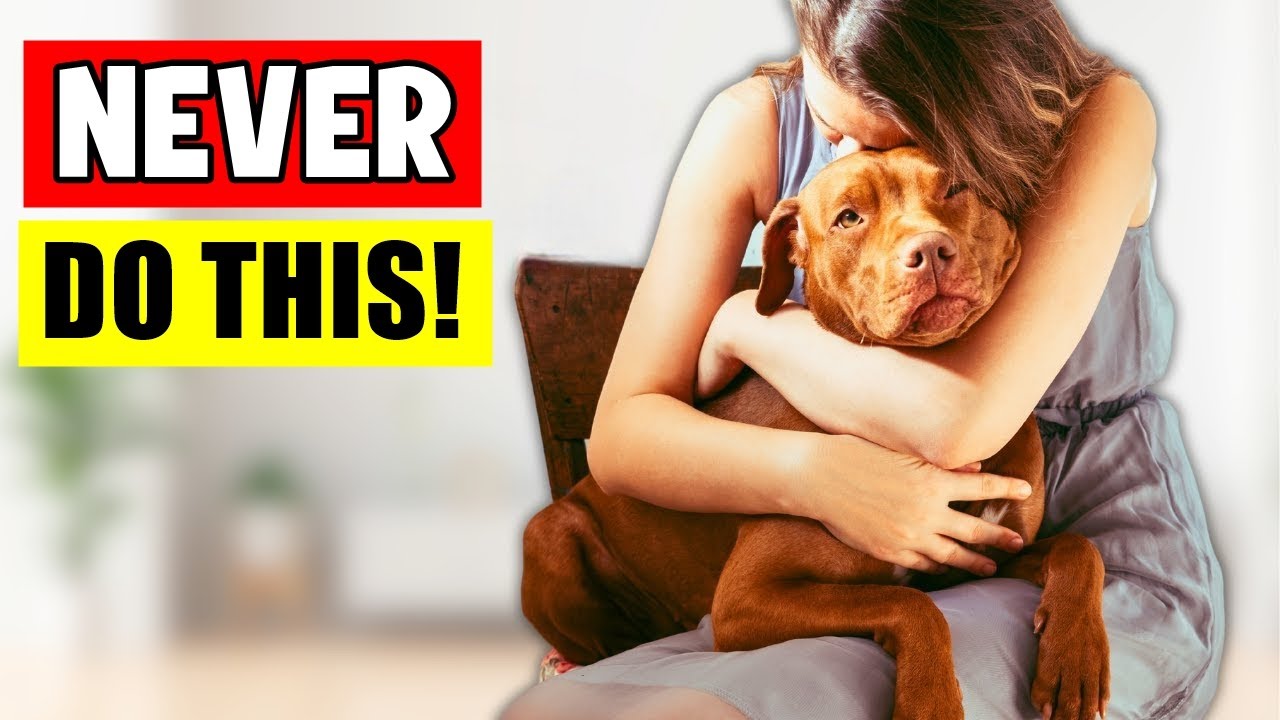 14 Things You MUST STOP Doing to Your Dog!