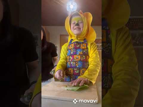 Sonic Nikolai Fleming cooking Pad Thai with Two raw sisters and giraffe 🦒