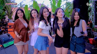 Download lagu FULL ALBUM AMELIA MUSIC - GEBUG RAMPAK GANK TEGALREJO WIROSARI mp3 Download lagu FULL ALBUM AMELIA MUSIC - GEBUG RAMPAK GANK TEGALREJO WIROSARI mp3