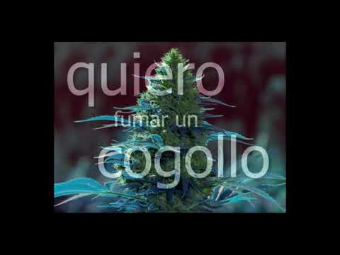 Napho & Diegollo - Quiero Fumar un Cogollo