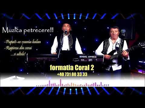 Colaj  Petrecere 2026! Coral2 - Gigi Oprea