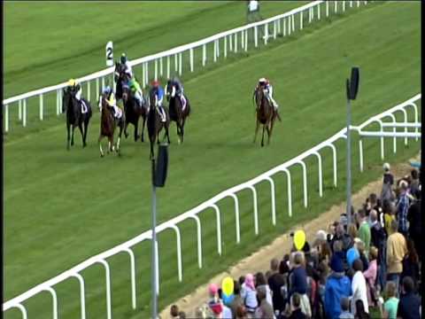 Galopprennbahn Dresden - 27.09.2014 - 4.Rennen