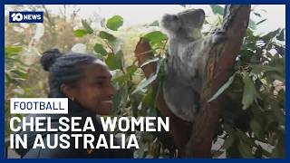 Download lagu Chelsea FC Women Meet Aussie Wildlife Down-Under | 10 News mp3