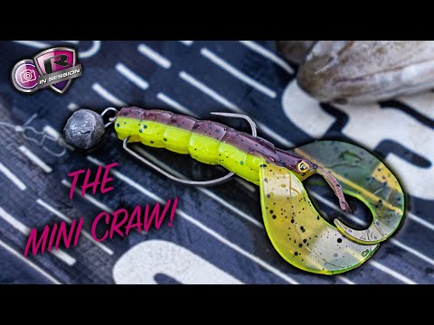 Catch Big Perch on Creature Baits | Mini Craw | Lure Fishing | Texas Fishing | Ned Rig