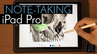 Taking Notes on my iPad Pro in Medical School & Residency