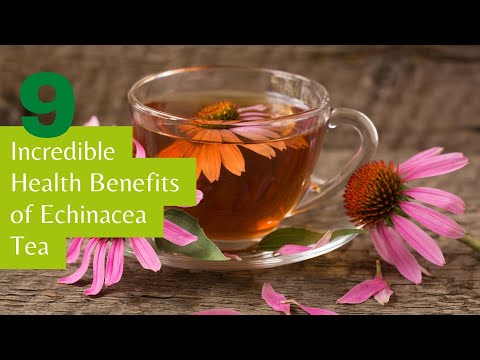 9 Incredible Health Benefits of Echinacea Tea You Didn't Know About!