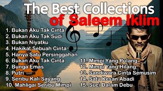 Download lagu The Best Of Saleem Iklim, Lagu Malaysia Lama Poluler || View Of Rawa Pening Lake mp3