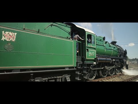 Burton Automotive Hunter Valley Steamfest