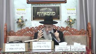 הרב יעקב שיכנזי | מדיני טהרת הבית | בית הכנסת מוסאיוף (בית הכנסת מוסאיוף) - התמונה מוצגת ישירות מתוך אתר האינטרנט יוטיוב. זכויות היוצרים בתמונה שייכות ליוצרה. קישור קרדיט למקור התוכן נמצא בתוך דף הסרטון