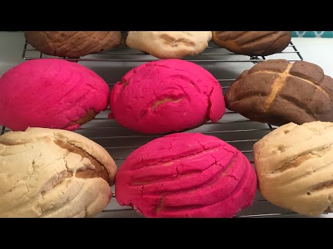Conchas pan dulce mexicano