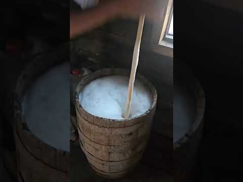 Видео: потомственный коневод из Горного района готовит кумыс из кобыльего молока