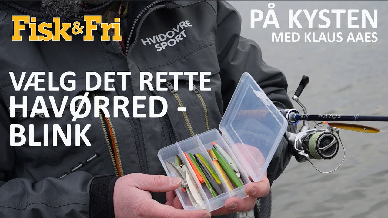 NY VIDEO: VÆLG DET RETTE KYSTBLINK – MED KLAUS AAES PÅ KYSTEN